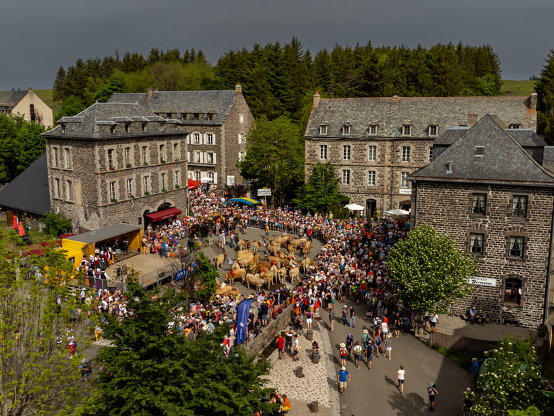 Village Aubrac transhumance