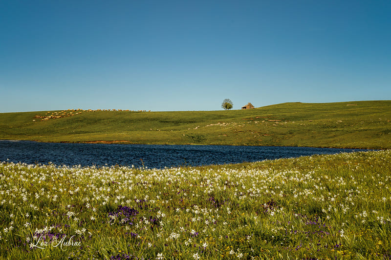 lac_des_moines