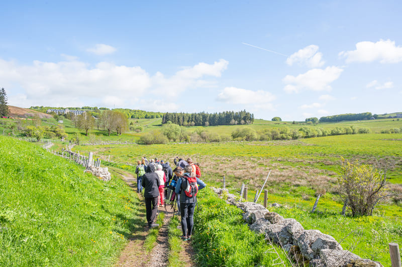randonnee_transhumance_paysage