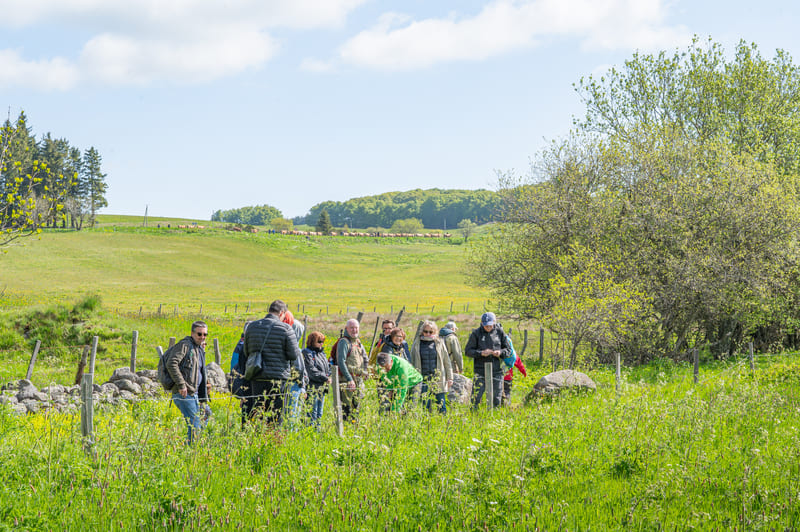 transhumance2025-24052025-guillaumepayen-3