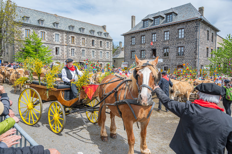 transhumance2025-25052025-guillaumepayen-4
